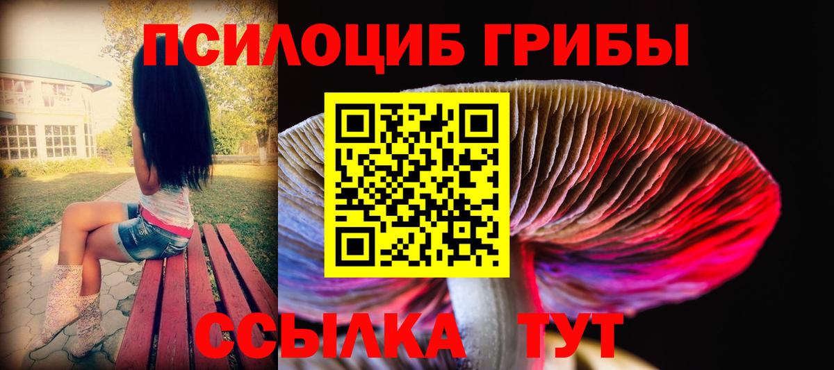 Галлюциногенные грибы Psilocybe  Псилоцибиновые грибы Psilocybe  где продают   Печора  Вход с VPN 